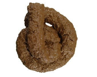 Deluxe Paper Mache Fake Pile Dog Lucy Poop Doggie Poo - Etsy