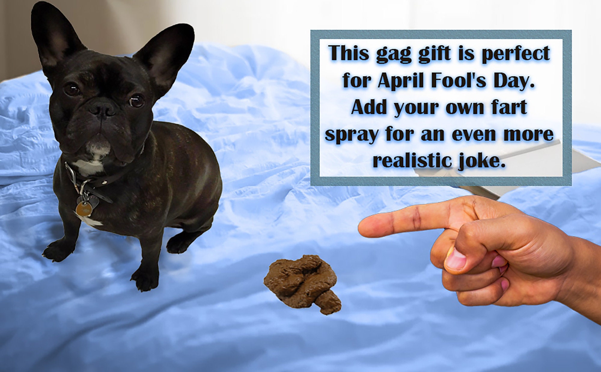 Fake Dog Cat Poop Crap Caca Poo Silly Trick Gag Prank Joke