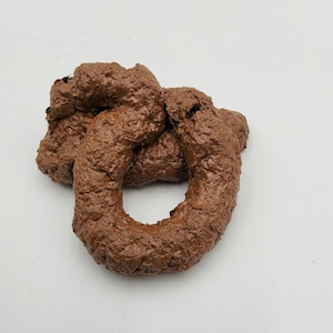Fake Realistic Poop - Etsy