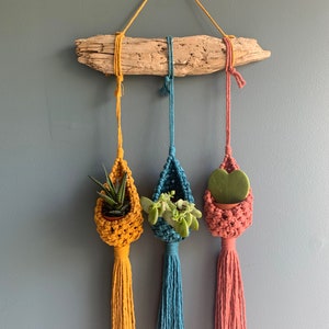May include: Three macrame plant hangers with tassels in mustard yellow, teal blue, and coral pink. Each hanger is holding a small potted succulent plant. The hangers are suspended from a piece of driftwood.