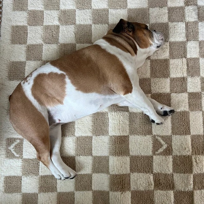 Handmade Checkerboard Area Rug: Checker  Wool Moroccan Carpet For Bedroom And Guestroom, Christma's Gift