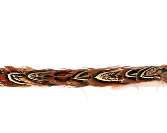 Brown High Quality Decorative Gimp Trim by the yard