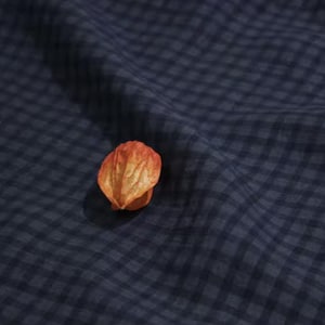May include: A close-up shot of a piece of navy blue gingham fabric with a dried orange-colored seed pod resting on top. The fabric is slightly wrinkled, creating shadows and texture.