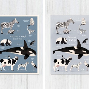 Tiere schwarz & weiß, 2 Varianten, Poster A4, Illustrationen, Tiere, Tierposter, Lernposter, Geburtstag, Kindergeburtstag