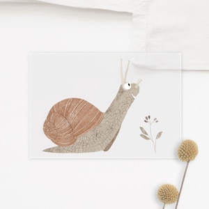 Può includere: Una lumaca di cartone animato con un guscio marrone e un corpo grigio guarda a destra. La lumaca ha occhi grandi e una piccola bocca. La lumaca è su uno sfondo bianco con una piccola pianta verde con bacche viola.