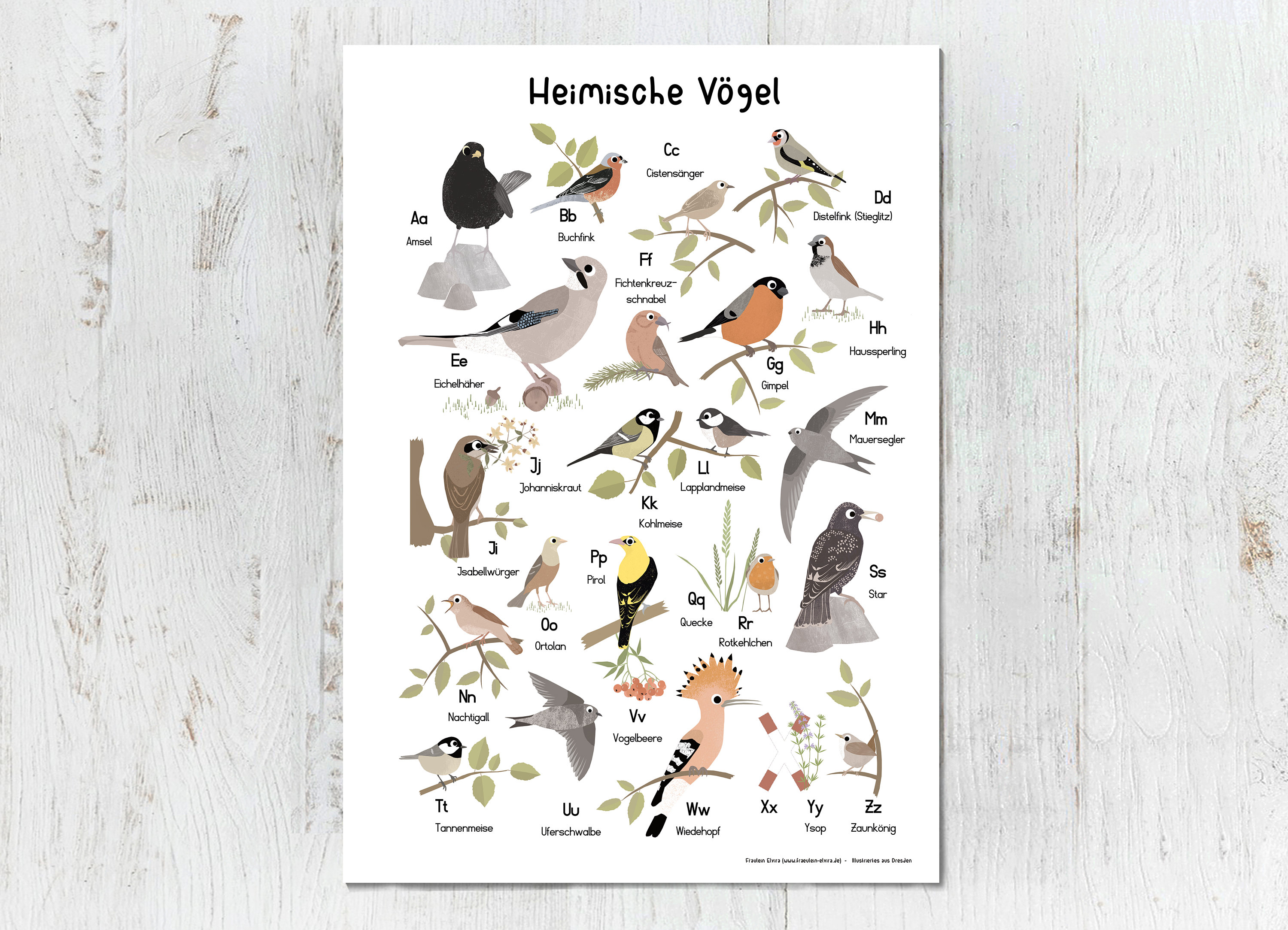 Produktliste Vogel poster