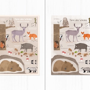Tiere des Waldes, Poster A3 & A2, mit Posterleiste, 2 Varianten, Illustrationen, Tiere, Tierposter, Lernposter, Geburtstag, Kindergeburtstag