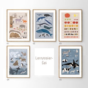 5 carteles, juego de carteles infantiles, DIN A4, carteles para habitación infantil, carteles de aprendizaje, ilustraciones, carteles infantiles, animales, carteles de números