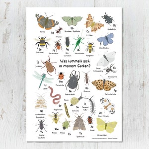 Poster Insekten, DIN A2 & DIN A3, mit Posterleiste, Tieralphabet, ABC Poster Krabbeltiere, Lernposter, Kinderzimmer Alphabet
