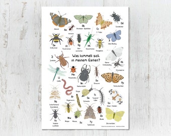 Poster Insekten, DIN A2 & DIN A3, mit Posterleiste, Tieralphabet, ABC Poster Krabbeltiere, Lernposter, Kinderzimmer Alphabet