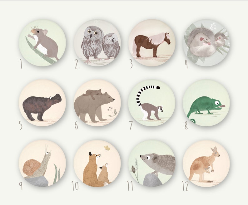 Magnet Set Tiere 38 mm Magnetbuttons Kühlschrankmagnete Bild 2