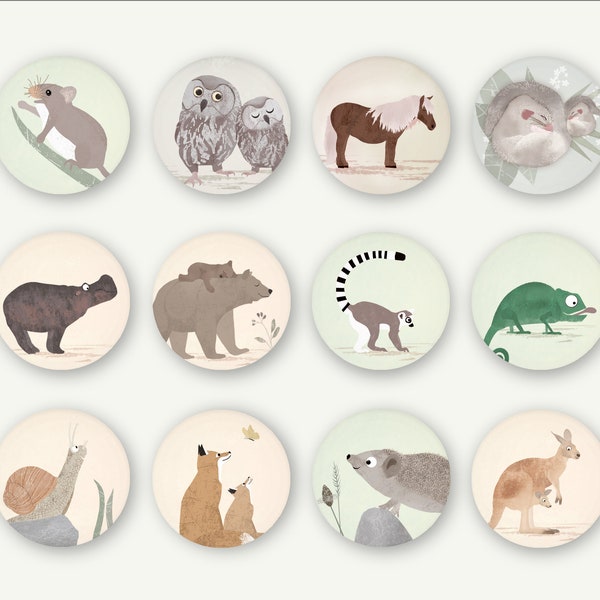 Magnet Set Tiere 38 mm Magnetbuttons Kühlschrankmagnete