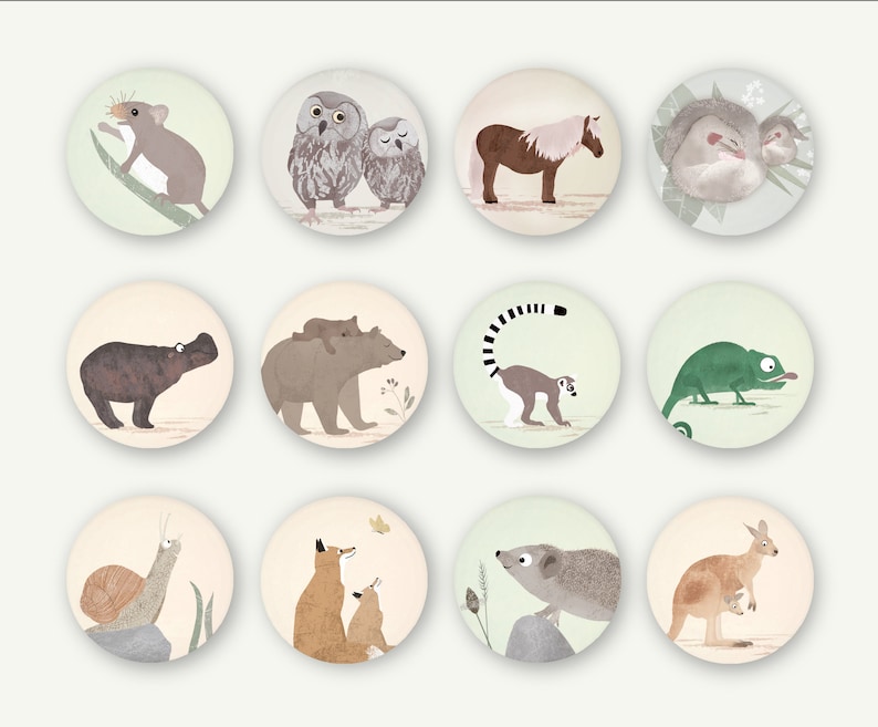 Magnet Set Tiere 38 mm Magnetbuttons Kühlschrankmagnete Bild 1