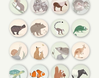 Set d'aimants animaux 38 mm boutons magnétiques aimants pour réfrigérateur