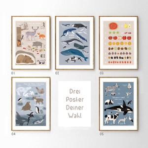 3 carteles a elegir, DIN A4, set de carteles infantiles, carteles para habitación infantil, carteles educativos, ilustraciones, carteles infantiles, animales, carteles de números