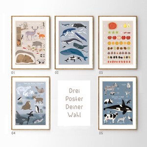 Animal Alphabet Poster  Studio Selection Poster