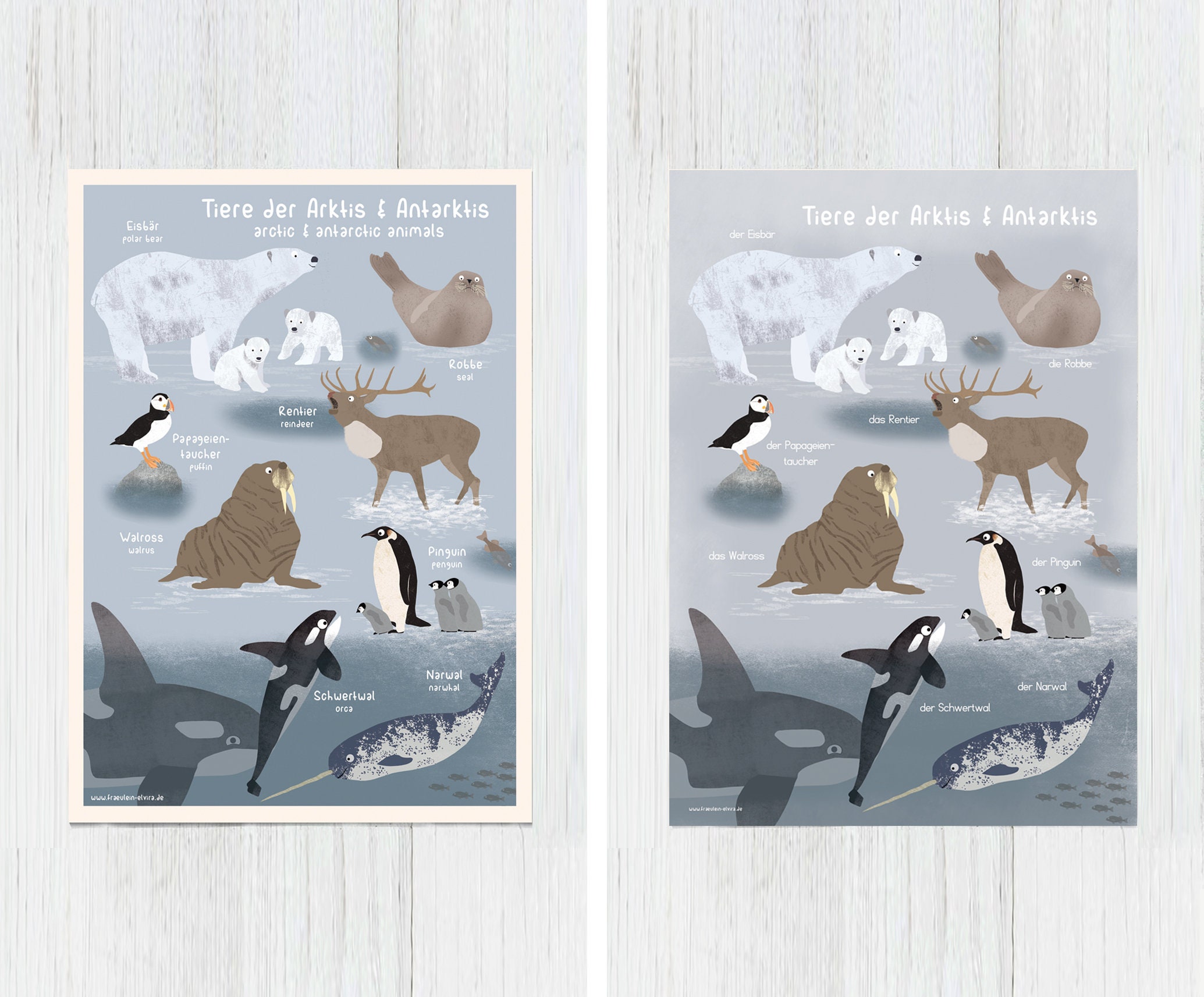 Tiere der Arktis & Antarktis Poster A4 2 Varianten | Etsy