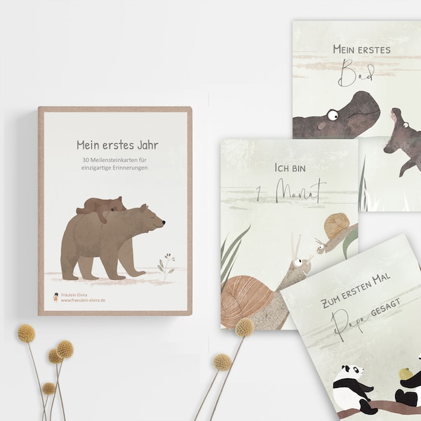Meilensteinkarten Baby "Mein erstes Jahr", 30 Karten
