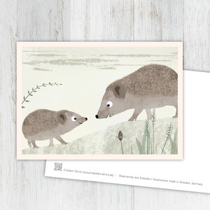カードハリネズミ、グリーティングカード、ビンテージ、レトロ、はがき、イラスト、動物、動物の子供、誕生日、子供の誕生日