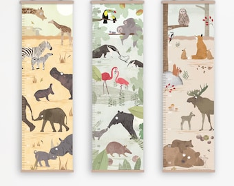 Toise pour enfants + rail d'affichage, 3 motifs
