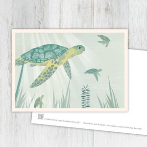 Karte Schildkröten, Grußkarte Schildkröte, Vintage, retro, Postkarte, Illustration, Tiere, Tierkinder, Geburtstag, Kindergeburtstag