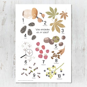 Poster "Was entdecke ich im Wald?", mit Posterschiene, DIN A3 & A2, Zahlenposter, Zählposter,