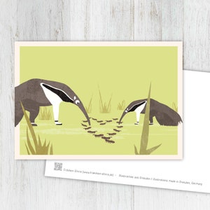 Grußkarte Ameisenbär, Karte, Postkarte, Illustration, Tiere, Tierkinder, Geburtstag, Kindergeburtstag