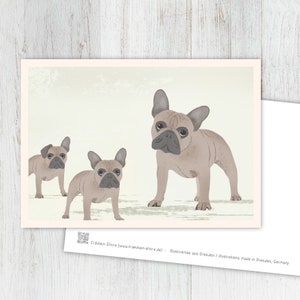 Karte Bulldoggen, Grußkarte, Vintage, retro, Postkarte, Illustration, Tiere, Tierkinder, Geburtstag, Kindergeburtstag