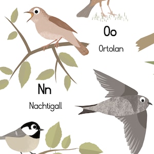 Bird Poster, ABC Poster Birds, Poster Bar, DIN A3 & DIN A2, Animal Alphabet, Bird Alphabet, Learning Poster, Children's Room Alphabet image 5