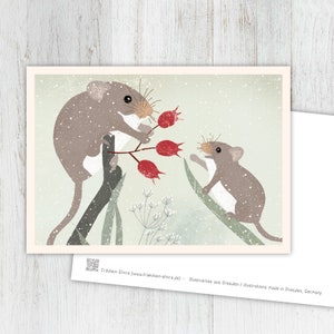 Kaartmuizen, kerstkaart, wenskaart, ansichtkaart, illustratie, dieren, dierenkinderen, verjaardag, kinderverjaardag