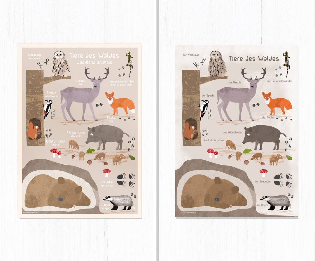 Animals of the Forest, Poster A4, 2 Variants, Illustrations, Animals ...