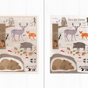 Tiere des Waldes, Poster A4, 2 Varianten, Illustrationen, Tiere, Tierposter, Lernposter, Geburtstag, Kindergeburtstag