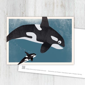 Grußkarte Orka, Karte, Postkarte, Vintage, Illustration, Tiere, Tierkinder, Geburtstag, Kindergeburtstag