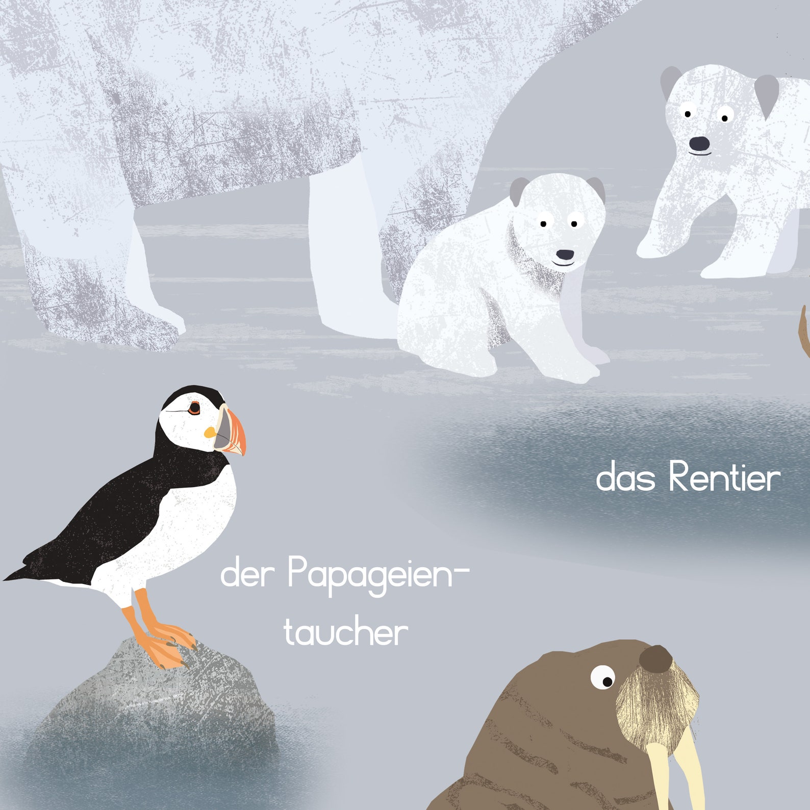 Tiere der Arktis & Antarktis Poster A3 und A2 2 Varianten | Etsy