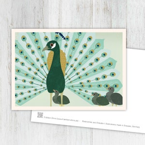 Karte Pfauen, Grußkarte Pfau, Vintage, retro, Postkarte, Illustration, Tiere, Tierkinder, Geburtstag, Kindergeburtstag