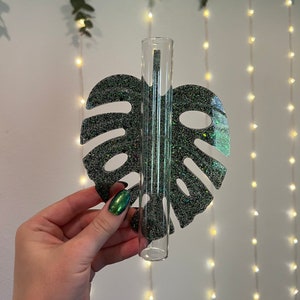 Monstera Leaf Wall Propagation Station for Houseplants