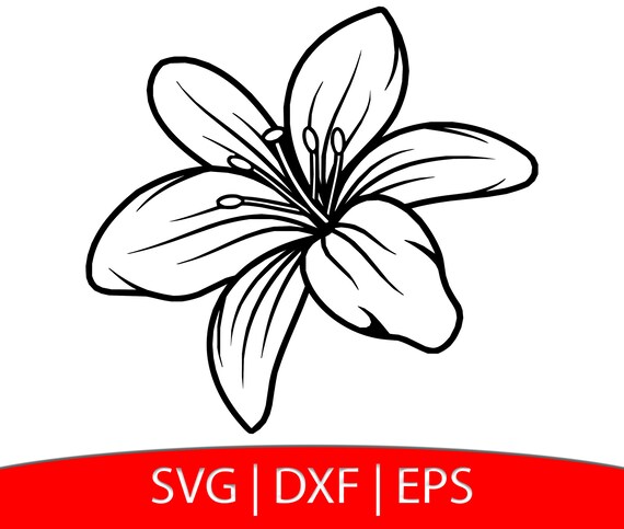 Free Free 266 Vector Lily Flower Svg SVG PNG EPS DXF File