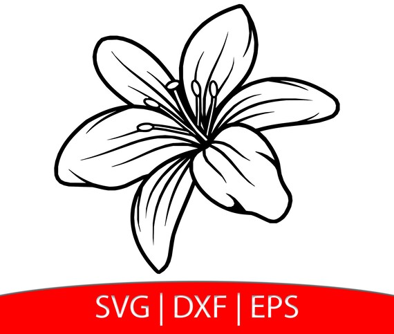 Lily Flower Svg Lily Flower Svg Lily Svg Flower Svg Lily Etsy ...