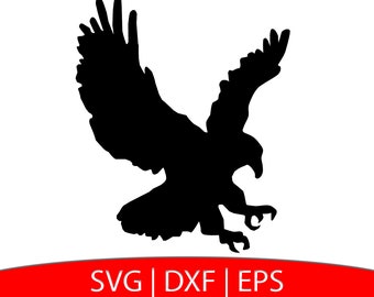 Hawk Clipart for Cricut and Crafts Bird Clipart Red Tailed Hawk SVGPNGJPEG Digital Art File