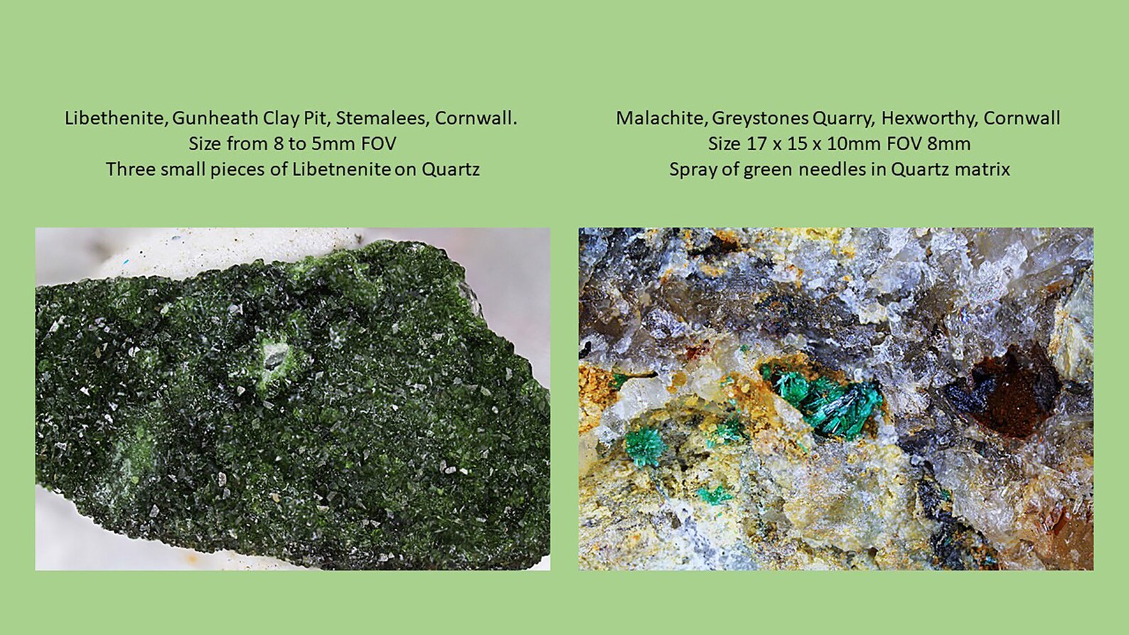 Twelve Micro Minerals from Cornwall Etsy