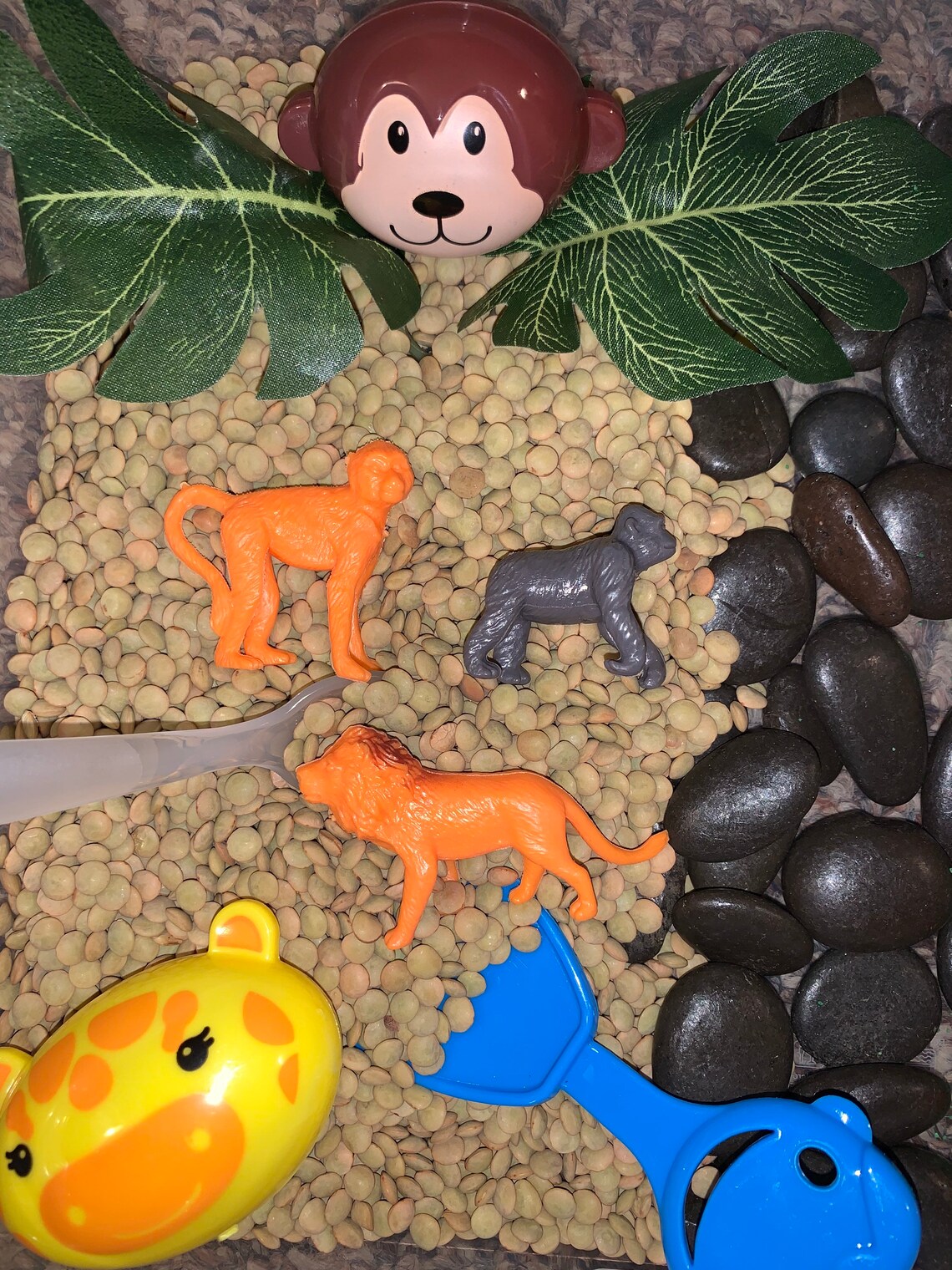 Zoo Jungle Wild Animal Sensory Bin Activity Kit for Kids | Etsy