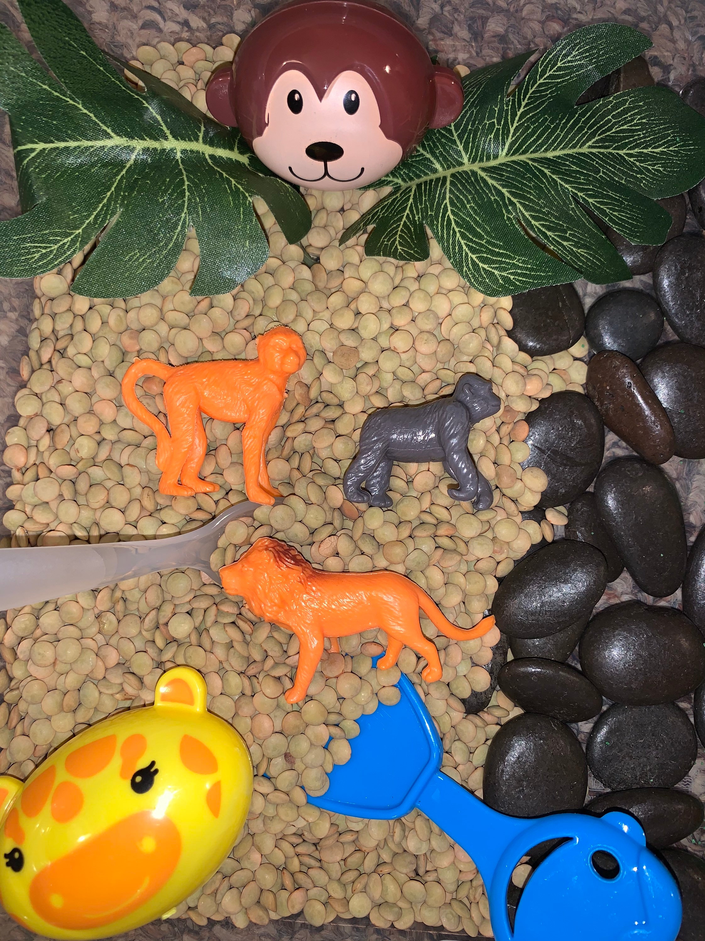 Zoo Jungle Wild Animal Sensory Bin Activity Kit for Kids Etsy