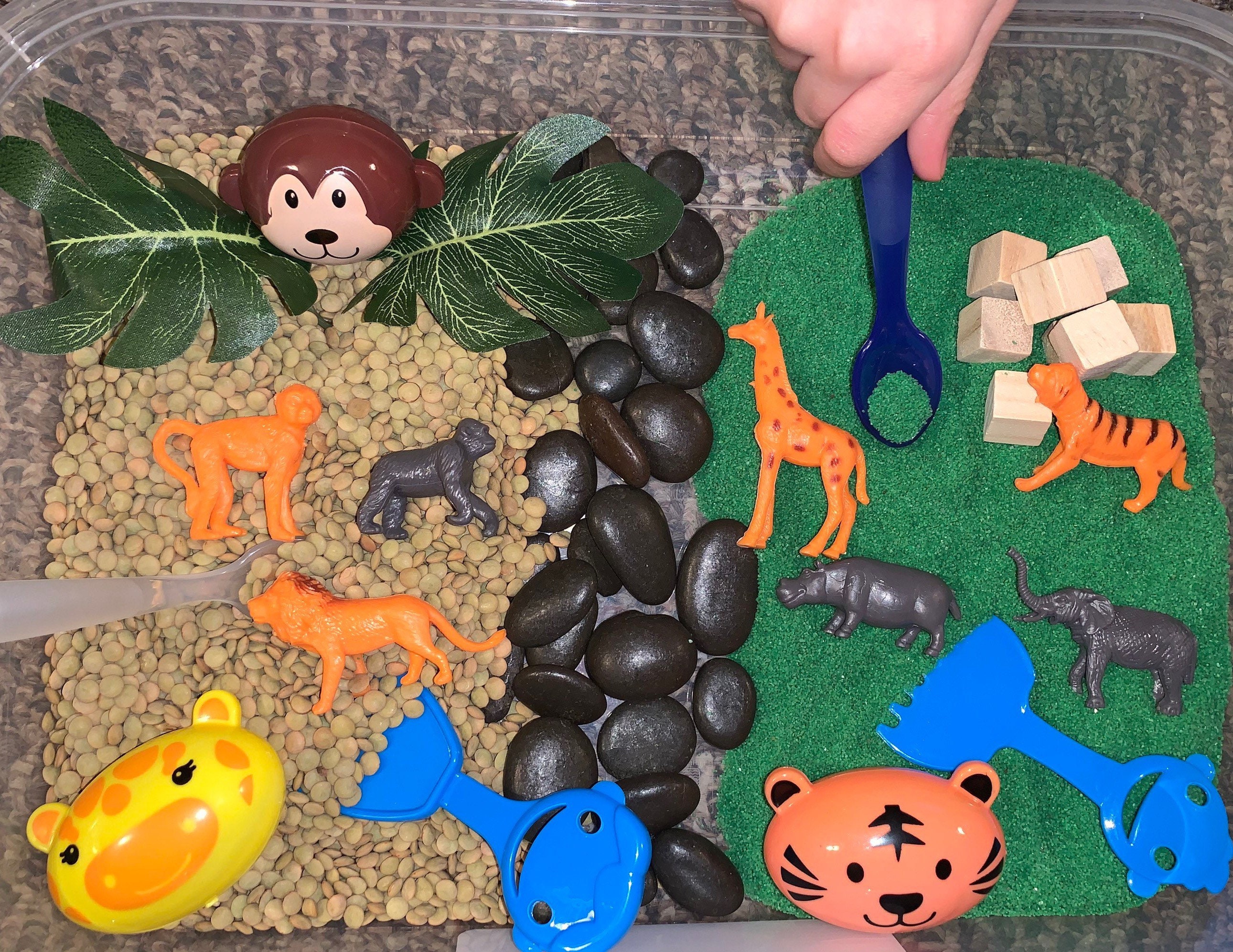 Zoo Jungle Wild Animal Sensory Bin Activity Kit for Kids | Etsy