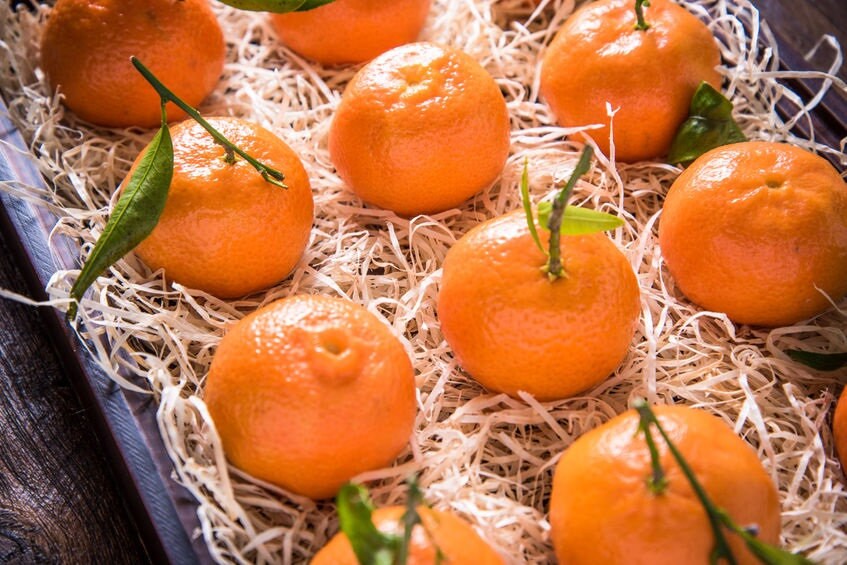 Satsuma Tangerines. Order Gift Baskets, Fruit Shipping For The Holidays