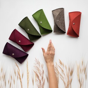 Étui à lunettes de soleil personnalisé, feutre de laine mérinos, étui à lunettes, étui à lunettes, pochette à lunettes de soleil, étui à lunettes, étui à lunettes de soleil