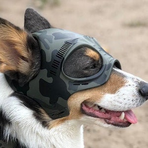 Dog Helmet Etsy