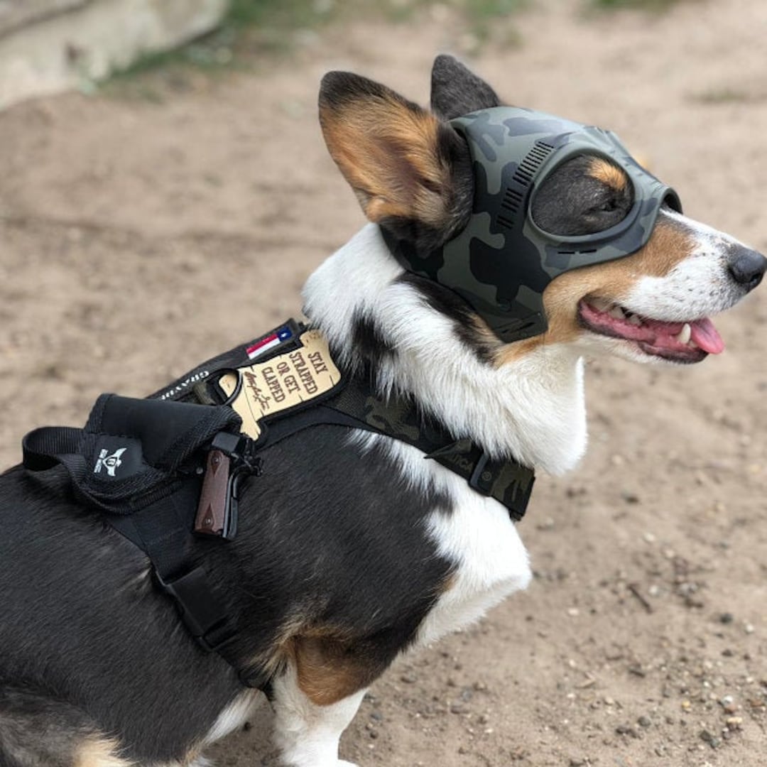 Military Dog Helmet | escapeauthority.com