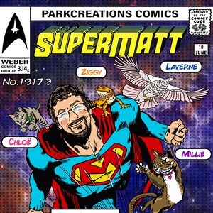 Gepersonaliseerde stripboekomslag / superheldenportret - DIGITALE DOWNLOAD