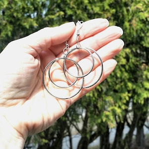 Silver Hoop Dangle Earrings