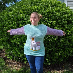 Crochet Llama Sweater, Crochet Sweater for Women, Crochet Sweater for Girls, Crochet Sweater Kids, Crochet Llama, Intarsia Crochet image 10